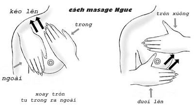 Kem nâng ngực Revitalite