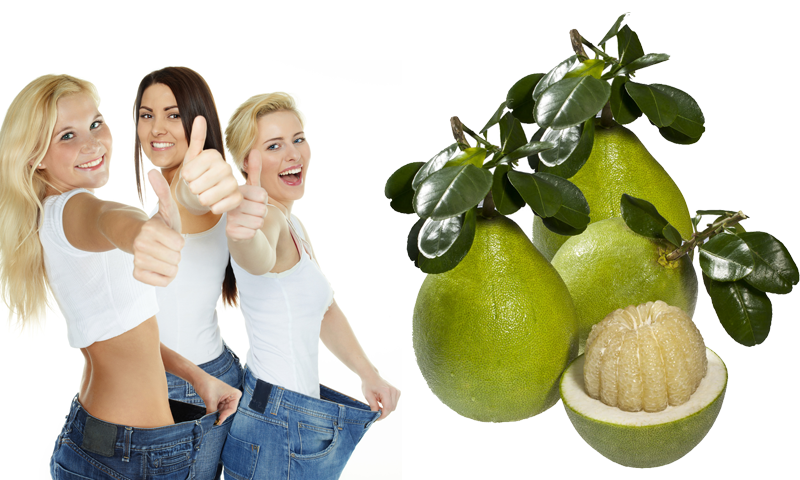 Top 3 thực phẩm giúp giảm cân hiệu quả