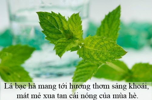 Bí quyết tạo hương cho cơ thể khi vào hè