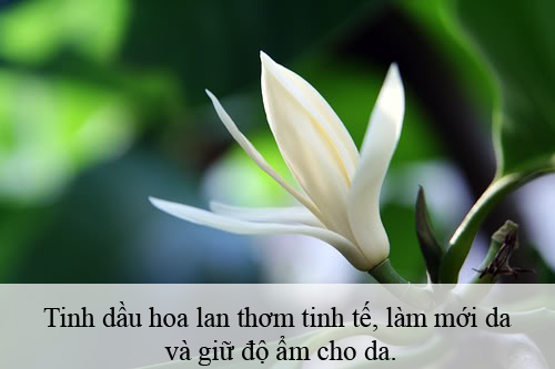 Bí quyết tạo hương cho cơ thể khi vào hè