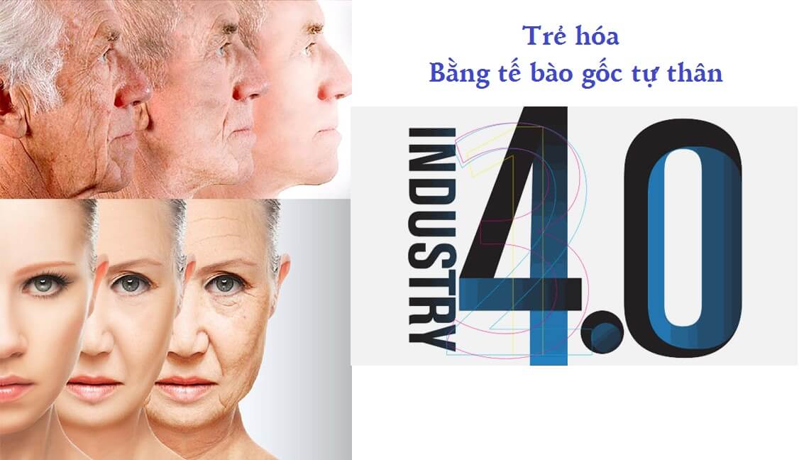 trẻ hóa tế bào gốc tự thân