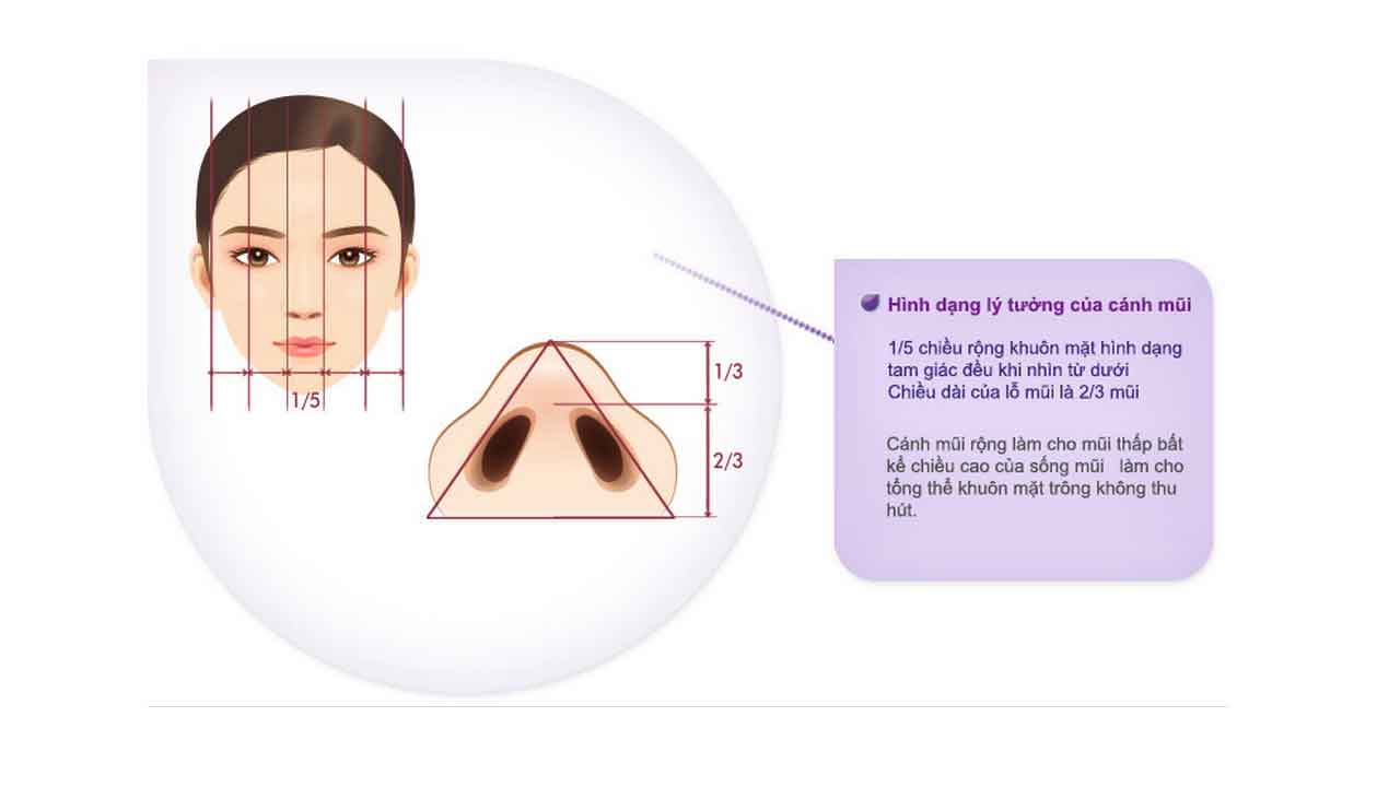cắt cánh mũi-hình 3