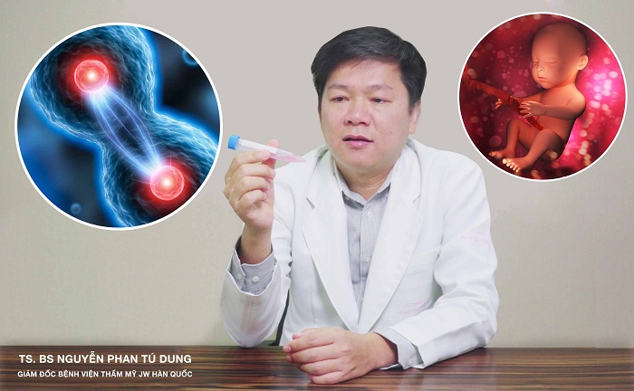 Giải mã bí mật tế bào gốc có tác dụng gì?_2