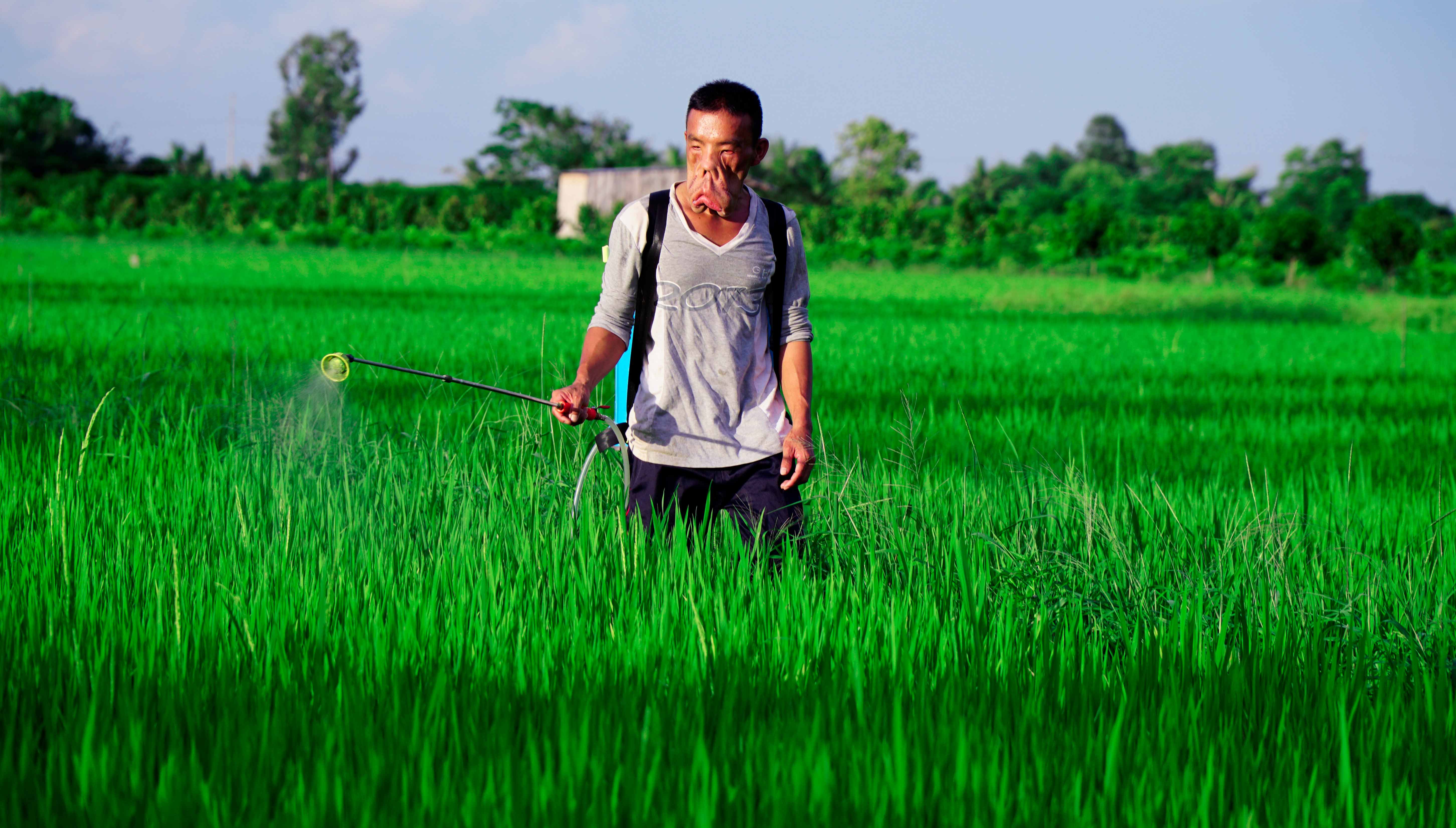 Anh Mến phun thuốc