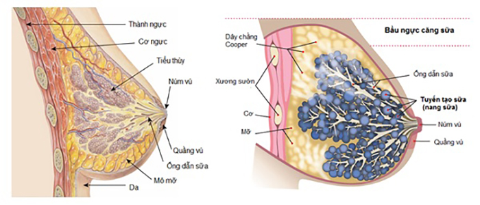 phẫu thuật nâng ngực nội soi