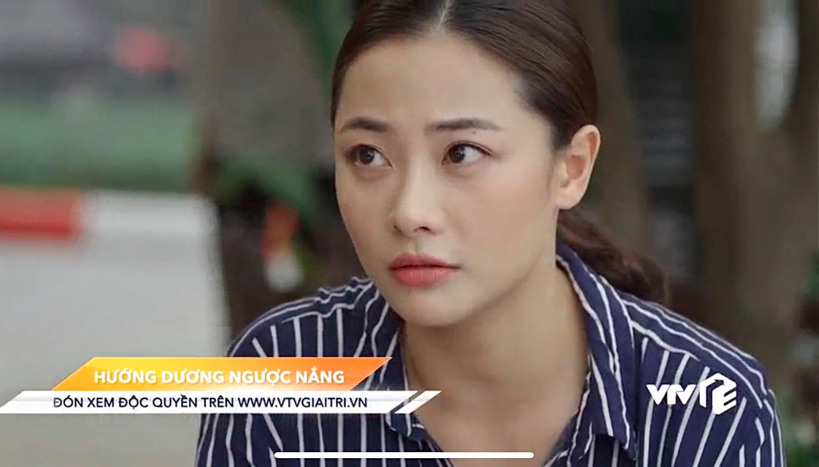 "Hướng dương ngược nắng"