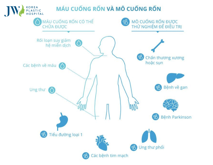 chữa bệnh bằng tế bào gốc