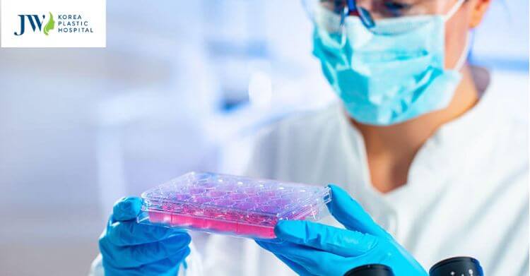 Tác hại của tế bào gốc 2