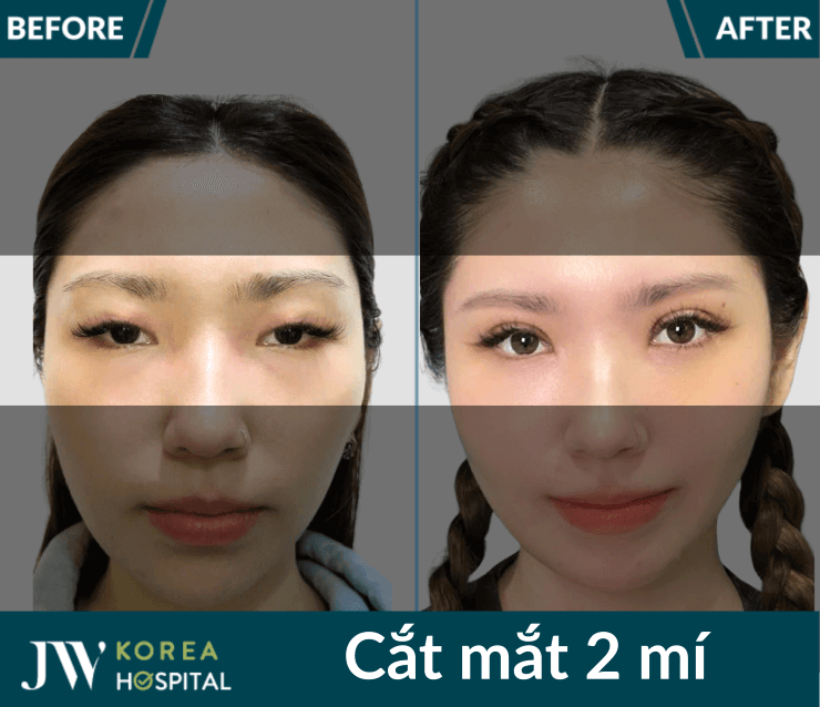 cat mat 2 mi jw