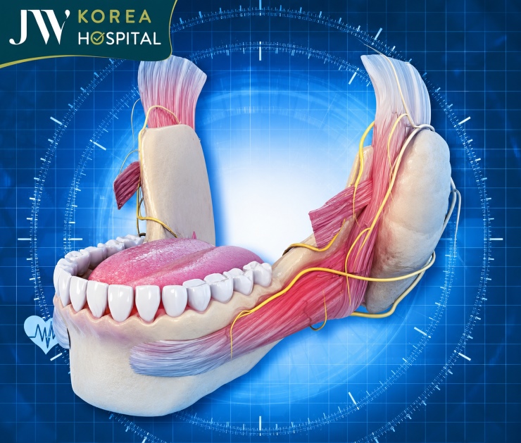Phẫu thuật hàm mặt 3D với công nghệ mô phỏng cấu trúc xương hàm trước phẫu thuật